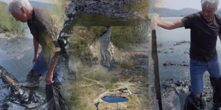 Kafshë të ngordhura, baltë ngjitëse dhe naftë që noton mbi ujë dhe…