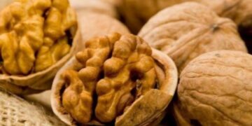 Pesë ushqimet e shëndetshme që duhet t’i shtoni dietës tuaj, ja cilat janë ato