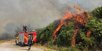 Situata e zjarreve në vend/ 14 vatra të raportuara, 10 të shuara dhe 4 ende aktive