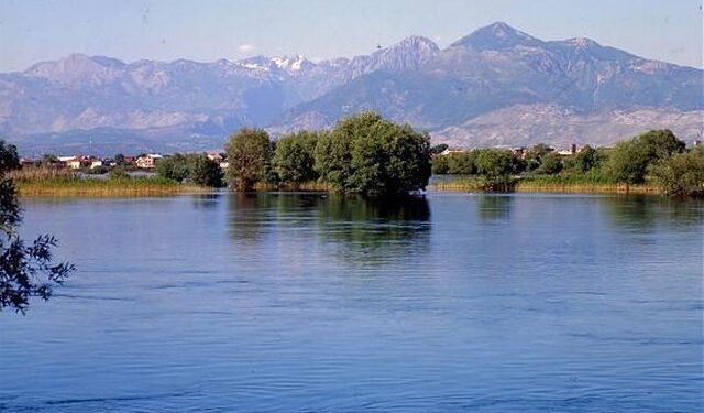 Kapiteni në Shkodër mbytet duke shpëtuar turistët, kërkimet vazhdojnë