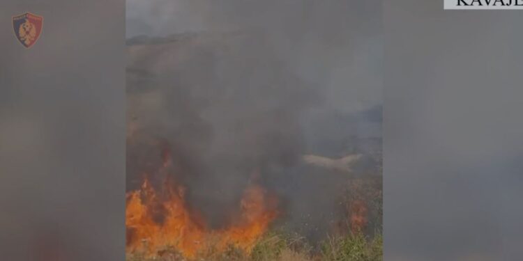 Zjarri në Helmës, Kavajë dogji 10 hektarë tokë dhe 30 pemë ulliri; penalizohet i moshuari