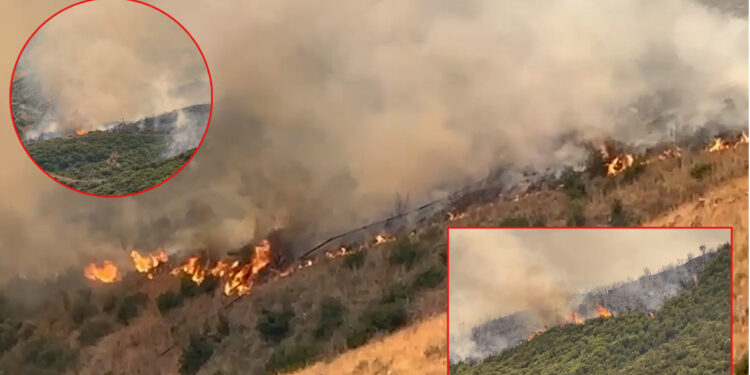 “42-vjeçari plagoset duke shuajtur zjarrin në Kopaçez të Delvinës, niset me urgjencë në spitalin e djegieve në QSUT”