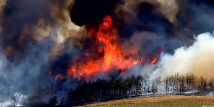DW: Zjarrfikësit të mbingarkuar, vatra zjarri kudo nëpër Ballkan