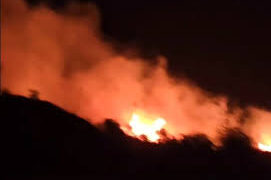 Gjirokastër/ Zjarr pranë nënstacionit elektrik të qytetit, rrezikoi përhapjen pranë banesave