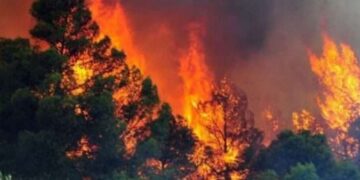 Pse digjet Shqipëria çdo verë? Qeveria prezanton paketën e mbështetjes pas dështimit për të parandaluar