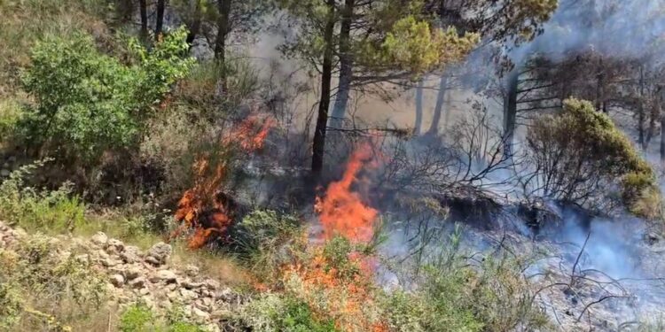Zjarr në Drenovë të Mallakastrës, vijojnë përpjekjet për frenimin e flakëve, pritet ndërhyrja nga ajri