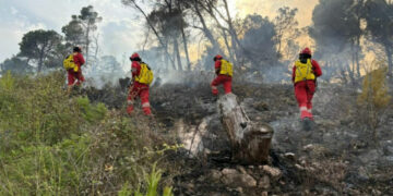 Zjarret nuk ndalen/ Situatë kritike në Parkun Kombëtar të Lurës, 11 vatra aktive në gjithë vendin