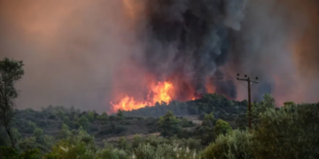 Zjarr në Shënkoll, Lezhë – Digjet bimësia, rrezikohen banesat
