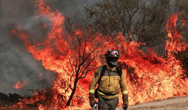 “DIGJET” SPANJA/ Zjarret prej ditësh aktive shkrumbojnë mijëra hektarë, dhjetëra persona të arrestuar e nën hetim