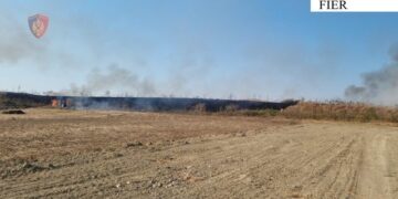 Fier/ Dogji një sipërfaqe toke, arrestohet në flagrancë 41-vjeçari