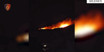 Pas një konflikti me bashkëfshatarin ndezi zjarrin që dogji një sipërfaqe me ullinj, arrestohet 43-vjeçari në Selenicë