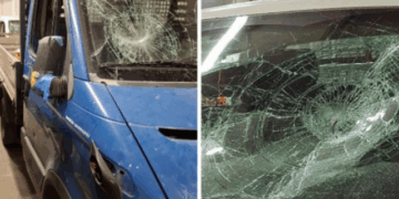 Dhëndri e shkarkon nga puna, 36-vjeçari shqiptar i futet në kompani dhe i shkatërron kamionët