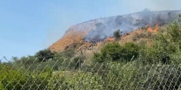 Lushnje, zjarr i madh në kodrat e fshatit Sejmenas