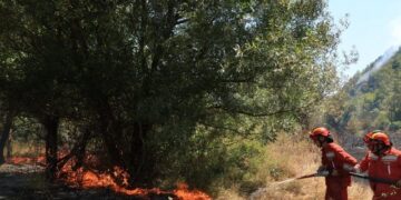 BIRN: Shqipëria në emergjencë lufton e keqpajisur me flakët