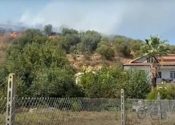 Përfshihet nga zjarri pylli me pisha në Bolenë të Himarës, rrezikohen disa banesa