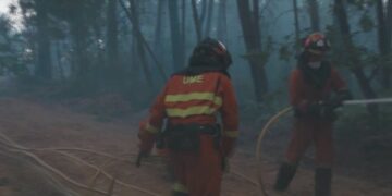 Mbi 380 mijë hektarë të djegur nga zjarret në Spanjë, vendi më problematik i kësaj vere në Evropë