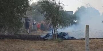 Zjarri përfshin oborrin e një banese në Libofshë të Fierit