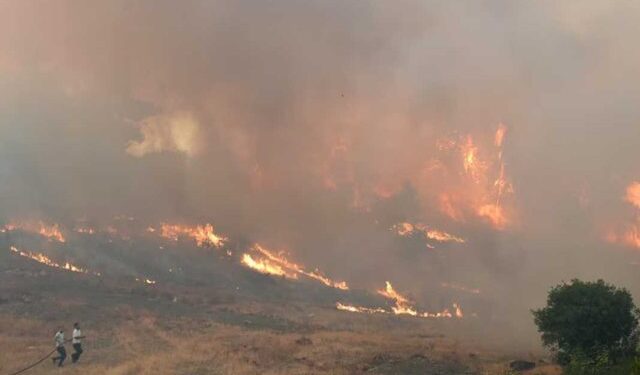 Zjarret në vend/ Ministria e Mbrojtjes: Dy vatra aktive