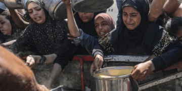 ‘Një kg domate kushton 30 dollarë’/ Rrëfimet tronditëse të qytetarëve në Gaza: Hamë vetëm bukë e kripë