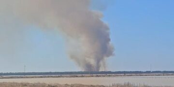 Zjarri përfshin pyllin me pisha pranë lagunës së Nartës