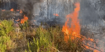 Kukës, ndalohet në kohë përhapja e zjarrit të rënë në Kodër Lumë