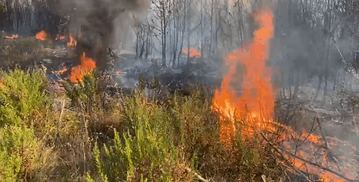 Kukës, ndalohet në kohë përhapja e zjarrit të rënë në Kodër Lumë