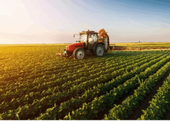 Raporti i BE: Bujqësia shqiptare larg standardeve evropiane