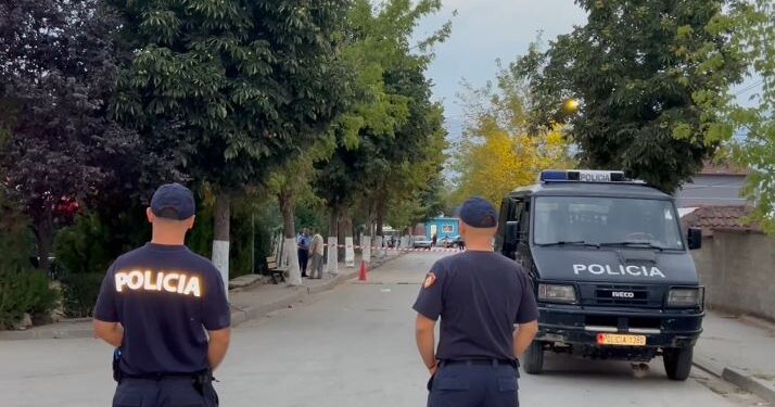Nuk ishin nga i njëjti fshat, zbulohet identiteti i adoleshentit që humbi jetën nga goditja me thikë nga bashkëmoshatari 14-vjeçar