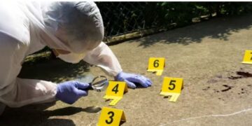 Vrasja në Divjakë, policia identifikon autorin