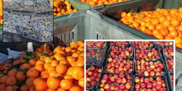 AKU: Pjeshkët dhe rrushi i importuar nga Greqia rezultojnë me pesticide