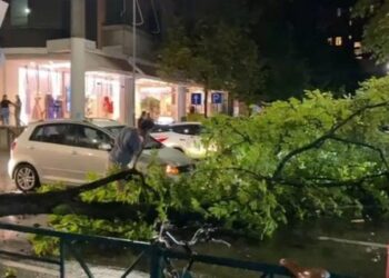 Tiranë/ Era e fortë thyen degën e pemës, bllokohet qarkullimi në ‘Rrugën e Elbasanit’