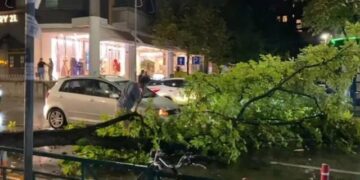 Tiranë/ Era e fortë thyen degën e pemës, bllokohet qarkullimi në ‘Rrugën e Elbasanit’