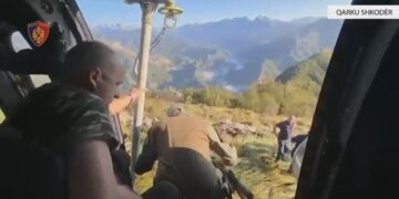 Operacion antidrogë, asgjësohen në Shkodër mbi 9 mijë bimë kanabisi