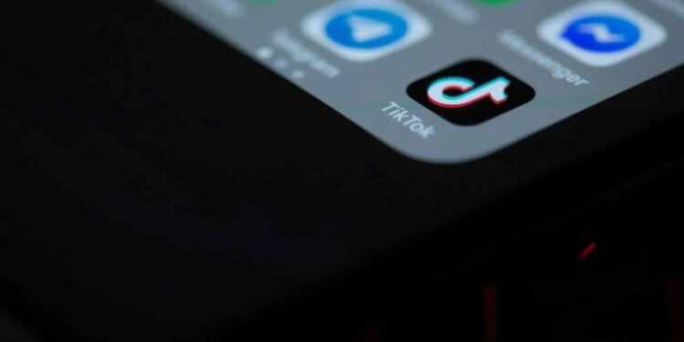 Njëri postonte foto të një vajze në TikTok, tjetri mashtronte në rrjetet sociale, policia heton dy shantazhuesit