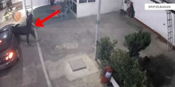 Vodhën xhiron ditore në një karburant, përfundojnë në pranga dy persona në Librazhd