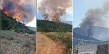 Solidaritet pas flakëve/ Elbasani i jep 3 milionë lekë ndihmë Gramshit