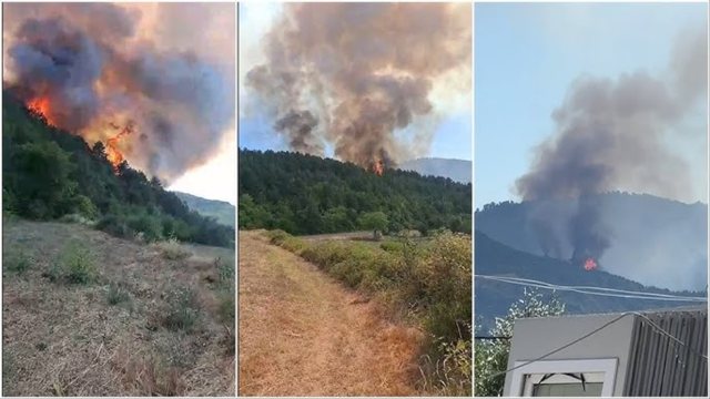 Solidaritet pas flakëve/ Elbasani i jep 3 milionë lekë ndihmë Gramshit