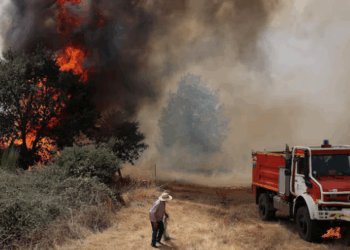 Nga pyjet e Amazonës te Europa dhe Kanadaja, OKB ngre alarmin: Zjarret masive po nxisin ndotjen e ajrit