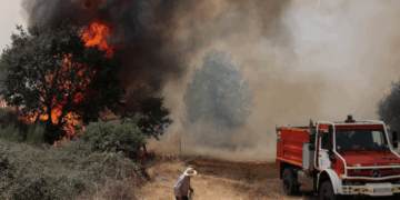 Nga pyjet e Amazonës te Europa dhe Kanadaja, OKB ngre alarmin: Zjarret masive po nxisin ndotjen e ajrit