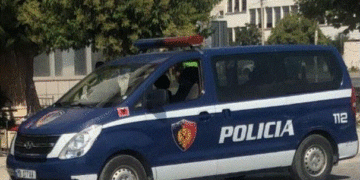 79-vjeçari humbet jetën në Tropojë, i bie pema sipër! Shpallet në kërkim një person