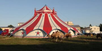 Tronditje në Gjermani, akrobatja bie nga trapezi dhe humb jetën gjatë një shfaqjeje cirku përapara 80 spektatorëve