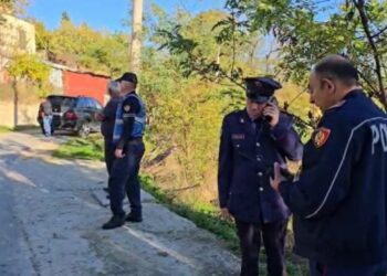 Zbardhet dëshmia e djalit: S’më linte të haja i qetë. Nuk e di si ndodhi, mora thikën dhe…