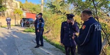 Zbardhet dëshmia e djalit: S’më linte të haja i qetë. Nuk e di si ndodhi, mora thikën dhe…