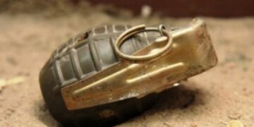 Ishte e fshehur tek rrënjet e ullirit/ Shpërthen granata e dorës, lëndohet 85-vjeçari