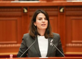 Koçiu: Shqipëria jashtë çdo liste të zezë, kriminaliteti në rënie