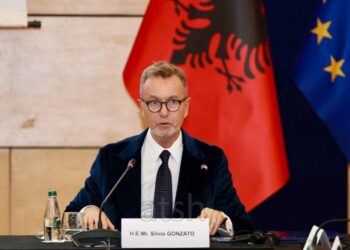 Gonzato: Anëtarësimi i Shqipërisë në BE mbetet një objektiv kombëtar