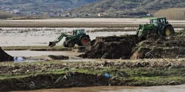 Vijon riparimi i argjinaturave, Rama ndan pamje nga punimet në terren
