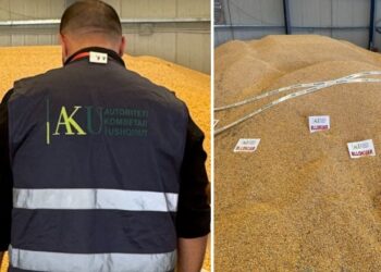 AKU bllokon 75 tonë misër në Shkodër, ngarkesa ndalohet në Han të Hotit