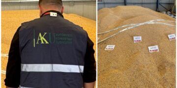 AKU bllokon 75 tonë misër në Shkodër, ngarkesa ndalohet në Han të Hotit