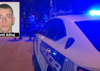 Identifikohet autori i krimit në Gjorm të Vlorës. Policia jep detaje